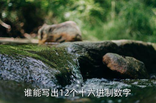 誰能寫出12個十六進制數(shù)字