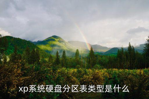 xp系統(tǒng)硬盤(pán)分區(qū)表類型是什么
