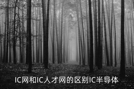 中國(guó)ic網(wǎng)，全國(guó)最大的威客網(wǎng)