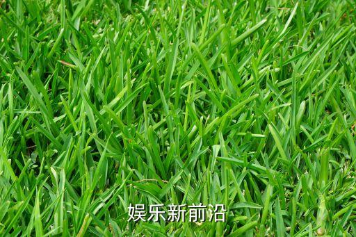 娛樂(lè)新前沿