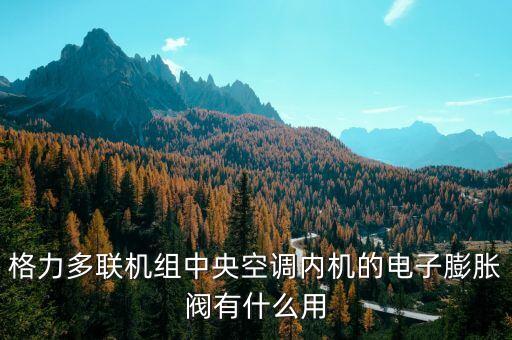電子膨脹閥的作用，膨脹閥的作用是什么