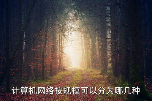 計(jì)算機(jī)網(wǎng)絡(luò)按規(guī)?？梢苑譃槟膸追N