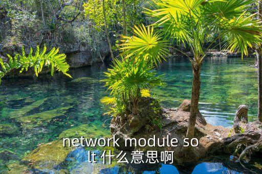 network module solt 什么意思啊