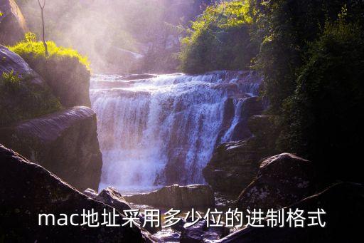 mac地址采用多少位的進(jìn)制格式
