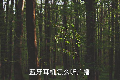 藍牙耳機怎么聽廣播