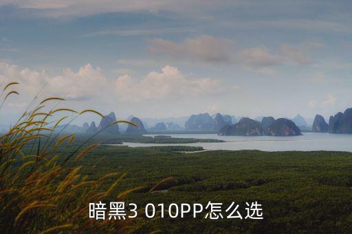 暗黑3 010PP怎么選