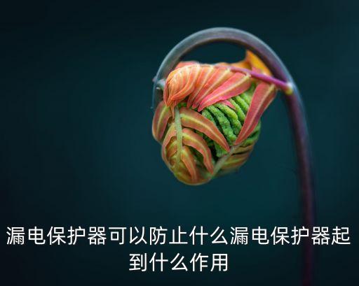 漏電保護(hù)器可以防止什么漏電保護(hù)器起到什么作用