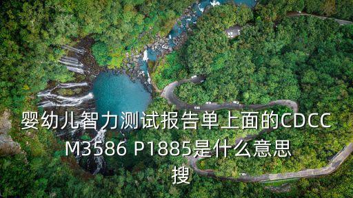 嬰幼兒智力測試報告單上面的CDCC M3586 P1885是什么意思  搜