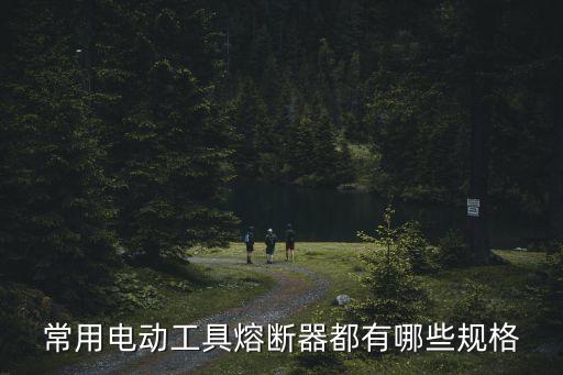 熔斷器型號(hào)規(guī)格，常用電動(dòng)工具熔斷器都有哪些規(guī)格