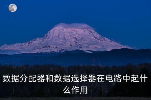 數(shù)據(jù)分配器和數(shù)據(jù)選擇器在電路中起什么作用