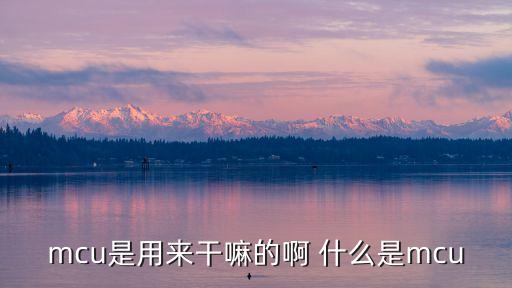 mcu芯片，什么是MCU系統(tǒng)電路