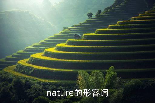 nature的形容詞，nature的形容詞形式