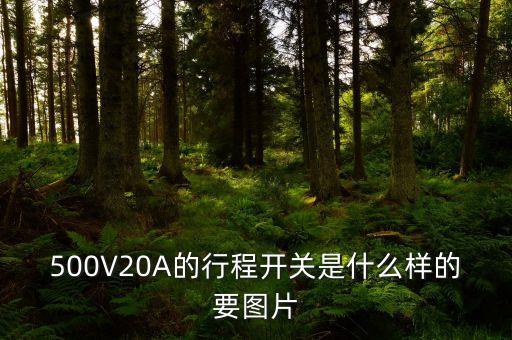 500V20A的行程開關(guān)是什么樣的要圖片