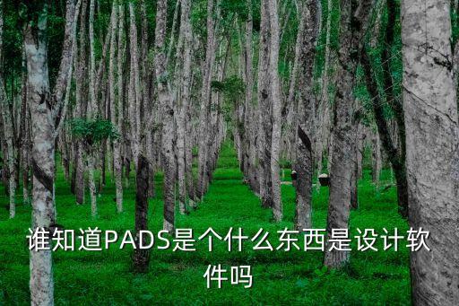誰知道PADS是個什么東西是設計軟件嗎