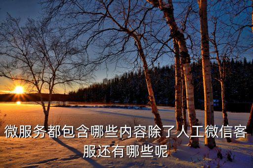 微服務(wù)都包含哪些內(nèi)容除了人工微信客服還有哪些呢