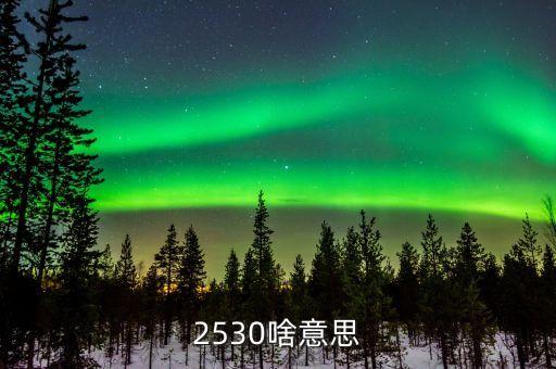 2530啥意思