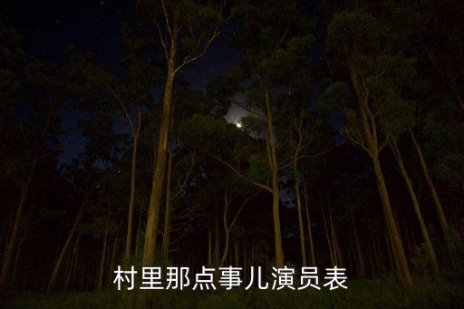 村里那點(diǎn)事兒演員表
