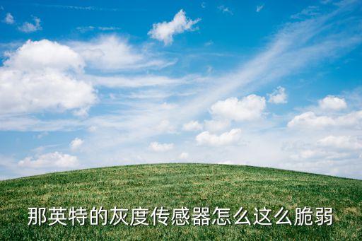 那英特的灰度傳感器怎么這么脆弱
