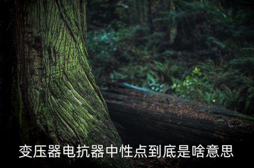 變壓器中性點，什么是變壓器的中性點