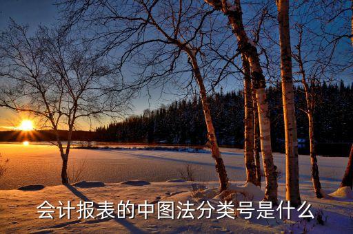 中圖法分類號，會計報表的中圖法分類號是什么