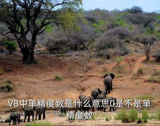 VB中單精度數(shù)是什么意思0是不是單精度數(shù)