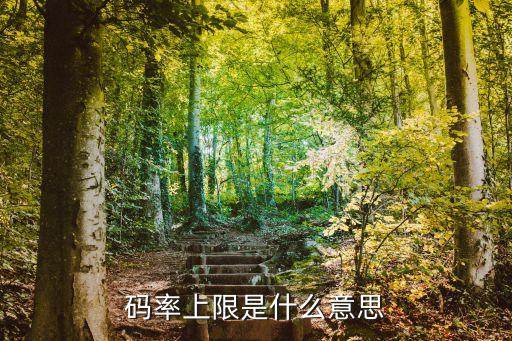 碼率是什么意思，什么是碼率