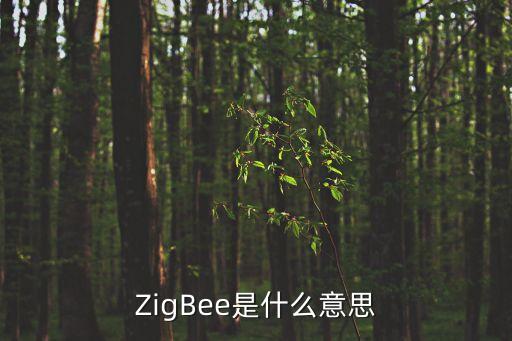 ZigBee是什么意思