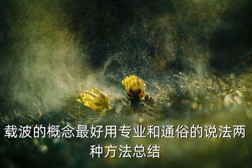 載波的概念最好用專業(yè)和通俗的說法兩種方法總結(jié)