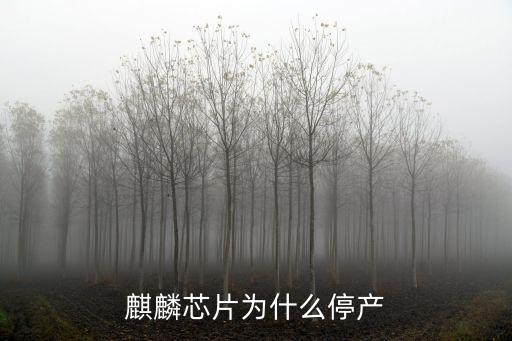 麒麟芯片為什么停產(chǎn)
