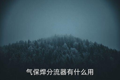 氣保焊分流器有什么用