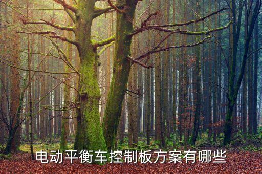 電動平衡車控制板方案有哪些