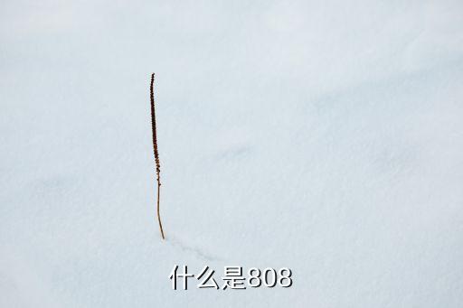 什么是808