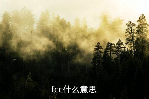 FCC，F(xiàn)cc是什么
