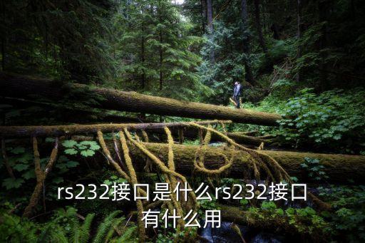 rs232接口是什么rs232接口有什么用