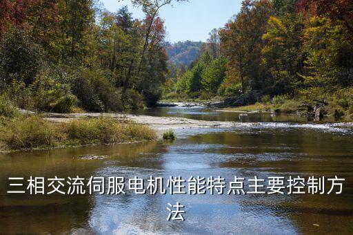 三相交流伺服電機(jī)性能特點(diǎn)主要控制方法