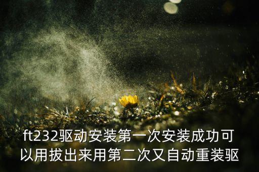 ft232，求助通過FT232設(shè)計USB轉(zhuǎn)485的方法