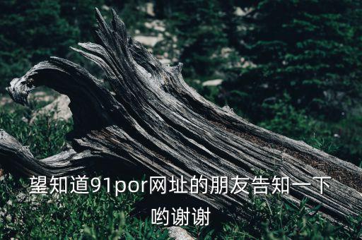望知道91por網(wǎng)址的朋友告知一下喲謝謝