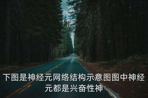 圖神經(jīng)網(wǎng)絡(luò)，如圖是神經(jīng)元網(wǎng)絡(luò)結(jié)構(gòu)示意簡(jiǎn)圖圖中神經(jīng)元都是興奮性