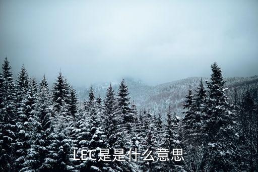 LEC是是什么意思