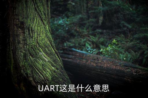 UART這是什么意思
