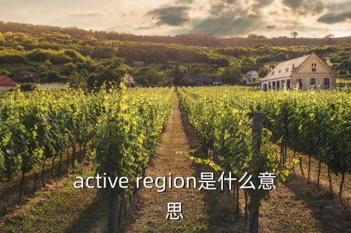 active region是什么意思