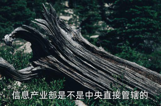 信息產(chǎn)業(yè)部，哪一年我國信息產(chǎn)業(yè)部被批準(zhǔn)成立