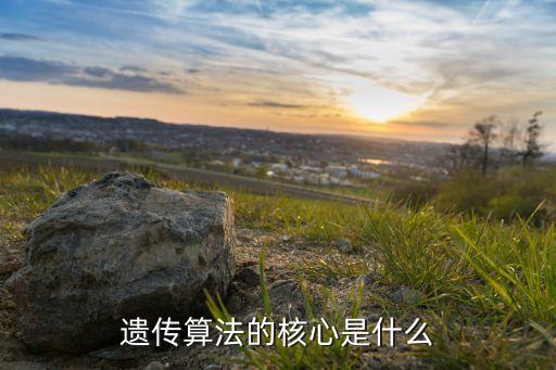 遺傳算法的核心是什么
