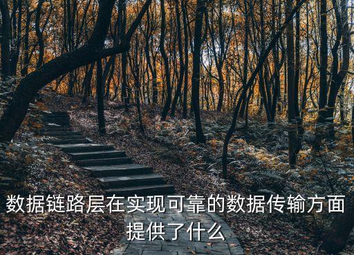 數(shù)據(jù)鏈路，數(shù)據(jù)鏈路結(jié)構(gòu)