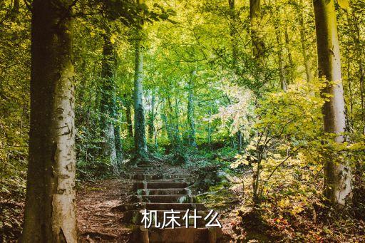 機床什么