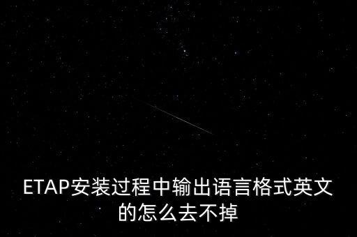 ETAP安裝過程中輸出語言格式英文的怎么去不掉