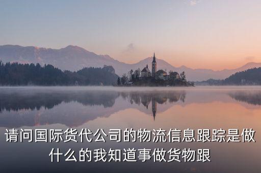 emc船公司貨物跟蹤，weiss ocean  air cargo gmbh怎么查船期