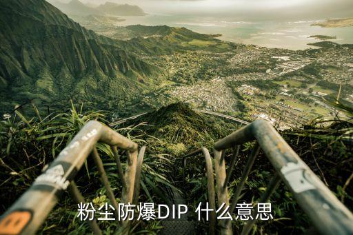 粉塵防爆等級(jí)，粉塵防爆DIP 什么意思