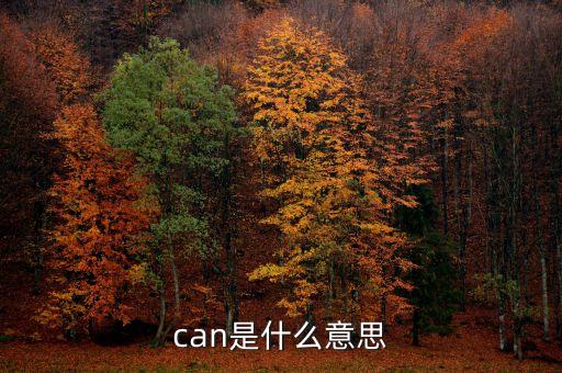 can，can是什么意思