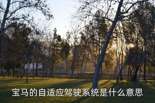 汽車自動駕駛系統(tǒng)，什么是IDRIVE
